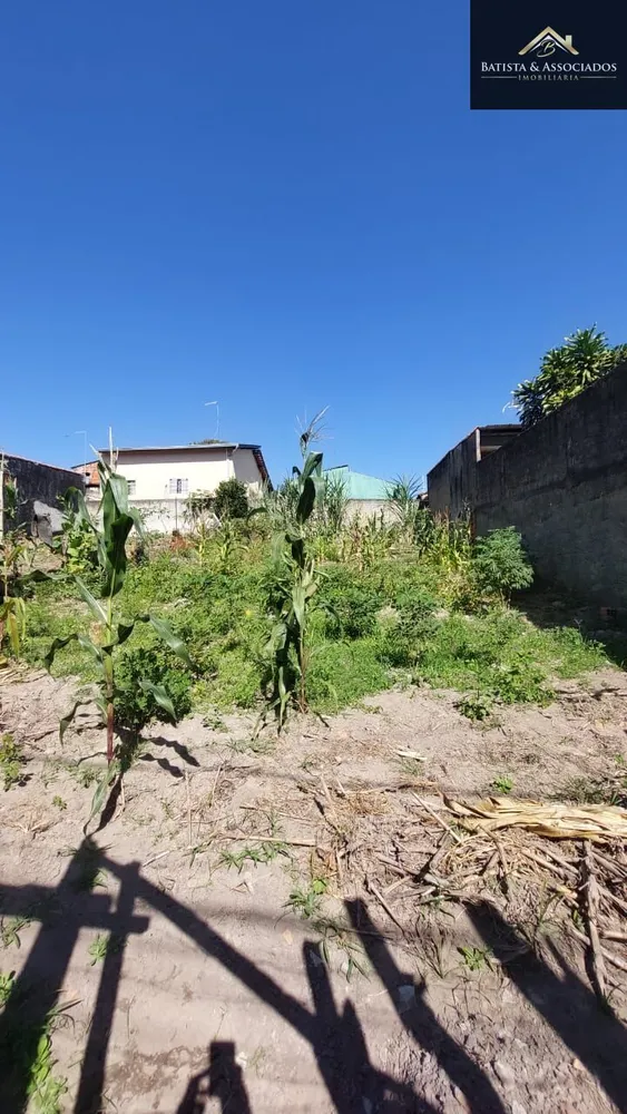 Terreno, 250 m² - Foto 6