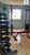 Apartamento, 3 quartos, 60 m² - Foto 3