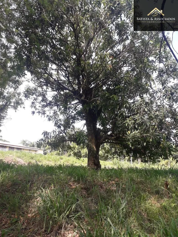 Terreno, 1600 m² - Foto 10