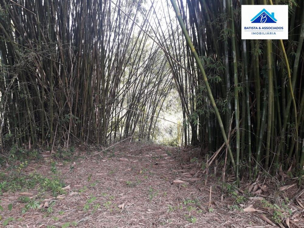 Terreno, 1600 m² - Foto 2