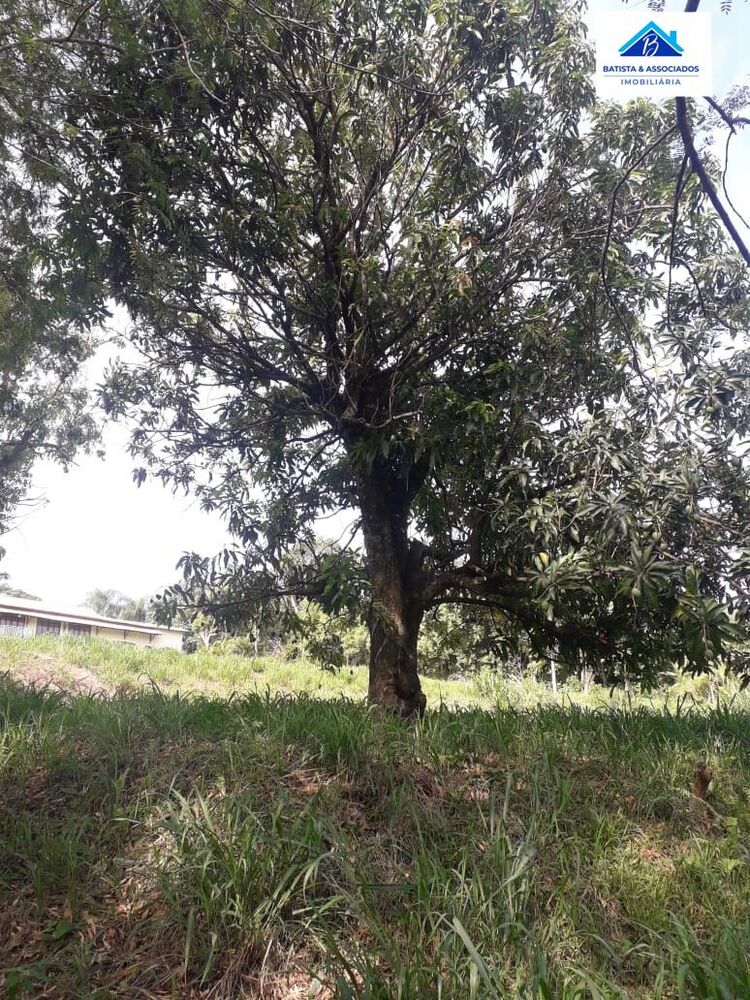 Terreno, 1600 m² - Foto 4