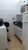 Sobrado, 3 quartos, 440 m² - Foto 2