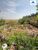 Terreno, 300 m² - Foto 1