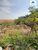 Terreno, 300 m² - Foto 2