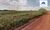 Terreno, 4 hectares - Foto 1