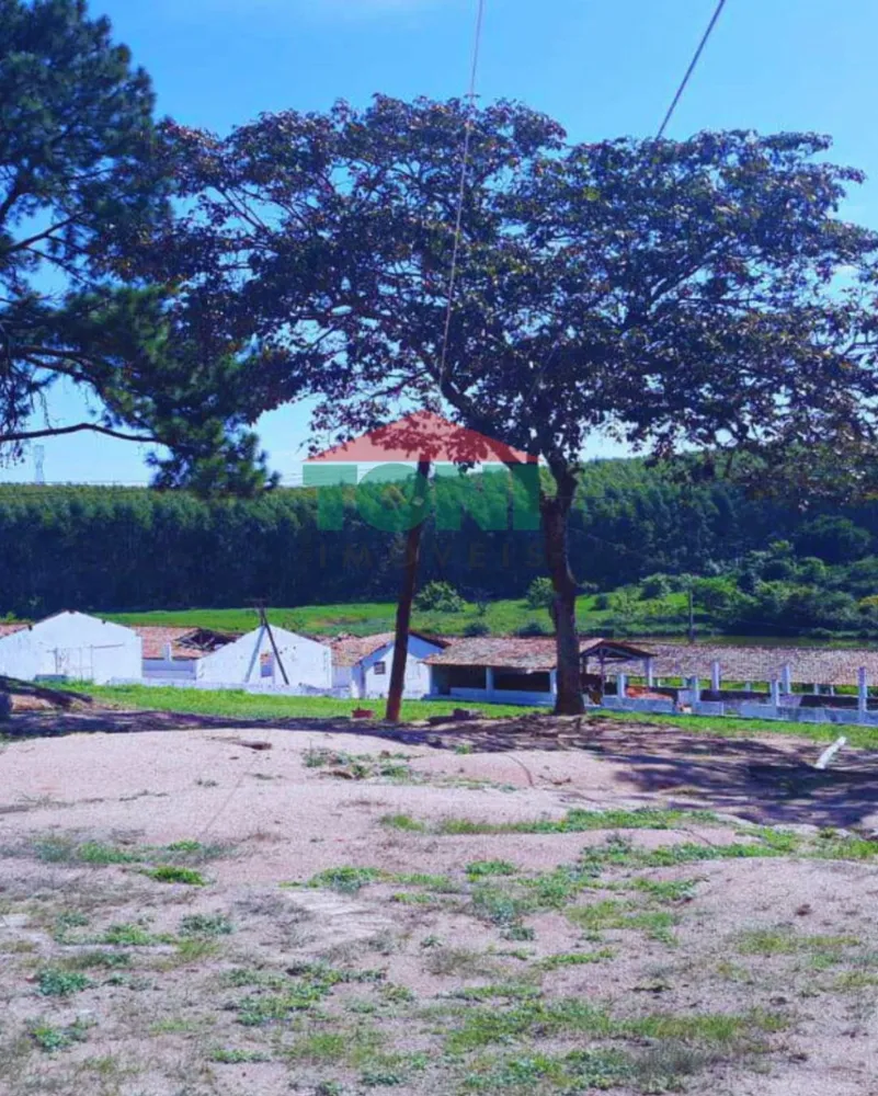 Sítio, 2 hectares - Foto 10
