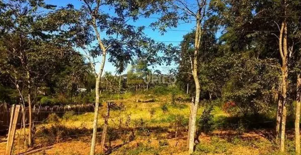 Terreno, 5100 m² - Foto 5