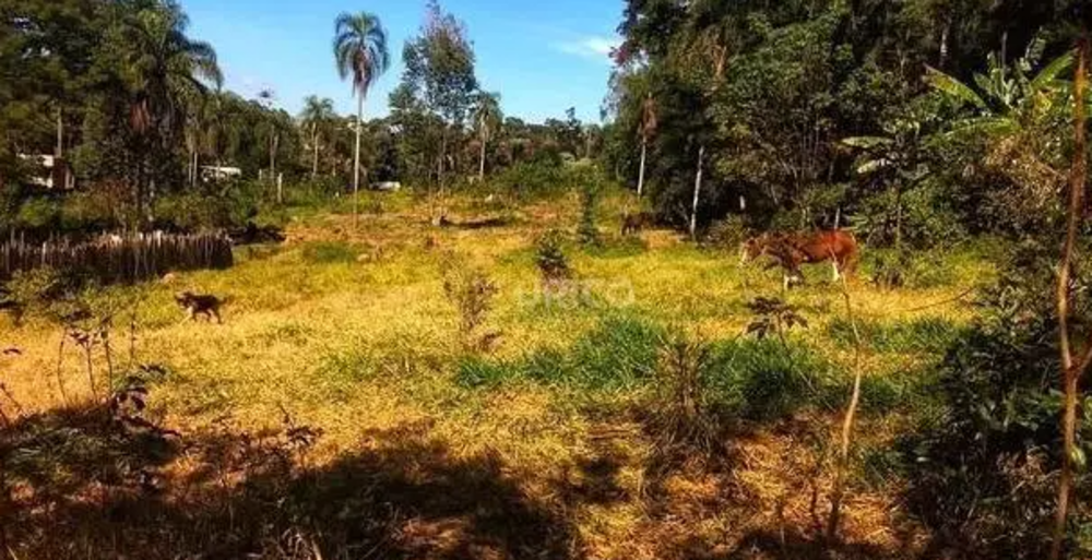 Terreno, 5100 m² - Foto 7