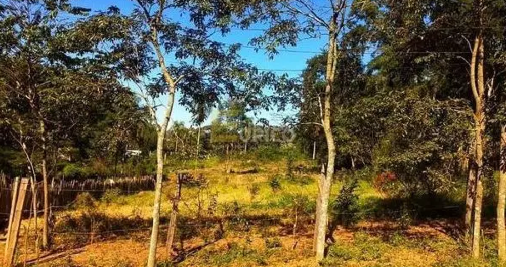 Terreno, 5100 m² - Foto 1