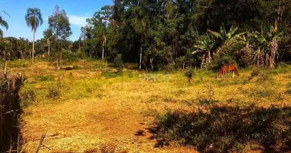 Terreno, 5100 m² - Foto 8