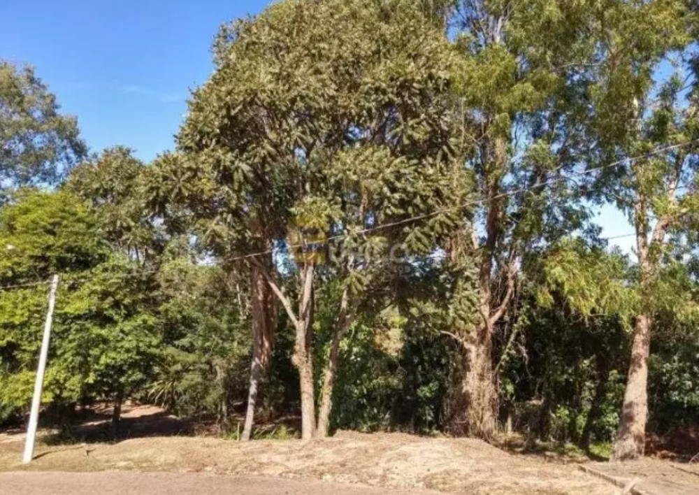 Terreno, 850 m² - Foto 8