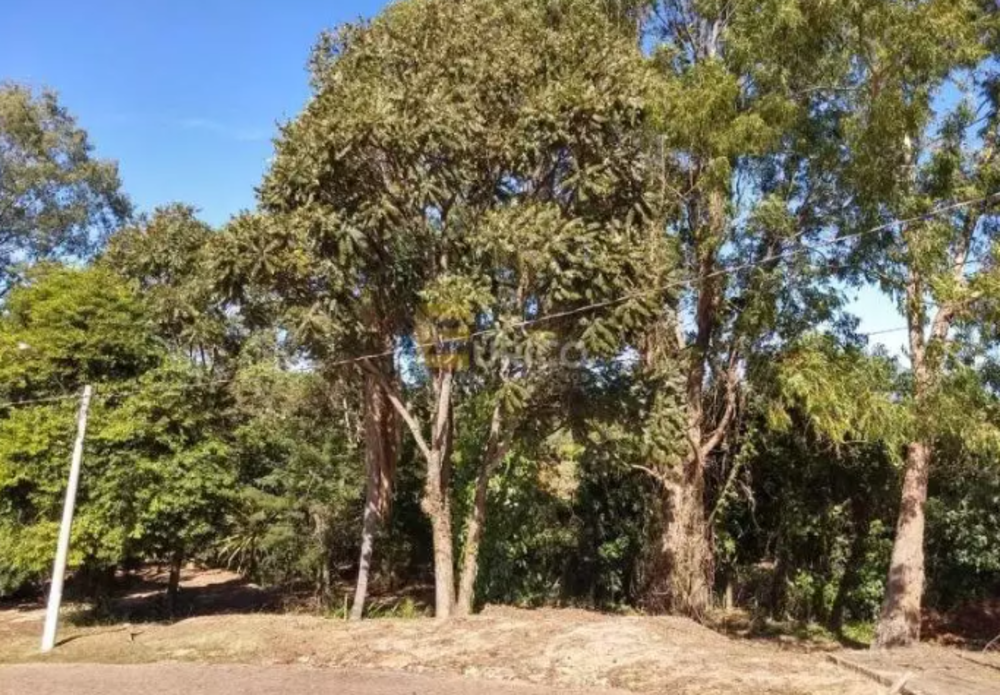 Terreno, 850 m² - Foto 2