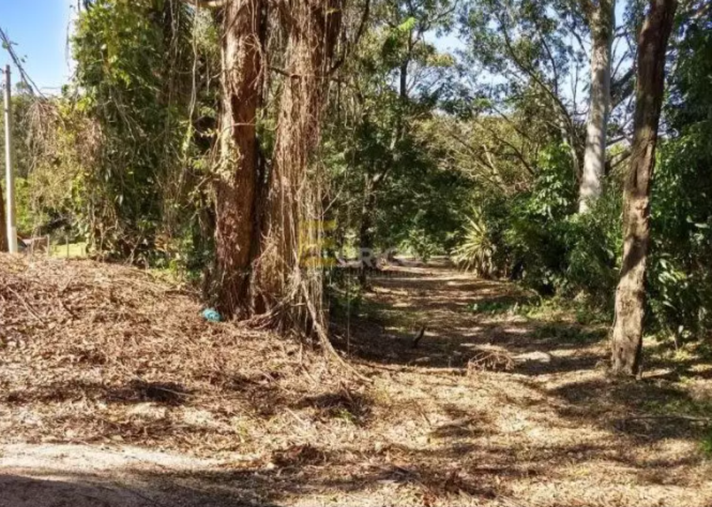 Terreno, 850 m² - Foto 4