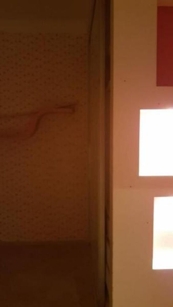 Casa, 3 quartos, 100 m² - Foto 6