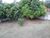 Terreno - Foto 6