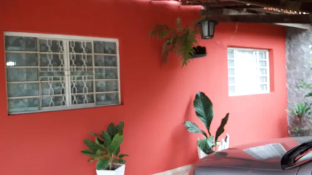 Chácara, 4 quartos, 6000 m² - Foto 12