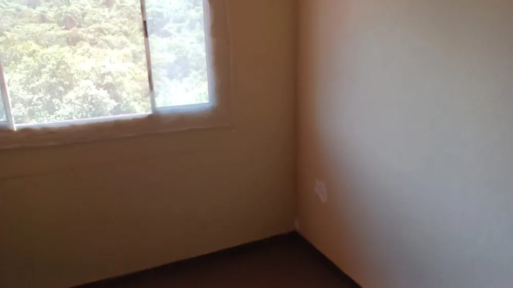 Chácara, 4 quartos, 6000 m² - Foto 4