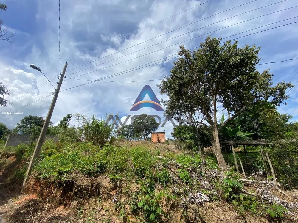 Chácara, 1000 m² - Foto 6
