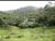 Terreno, 7400 m² - Foto 2