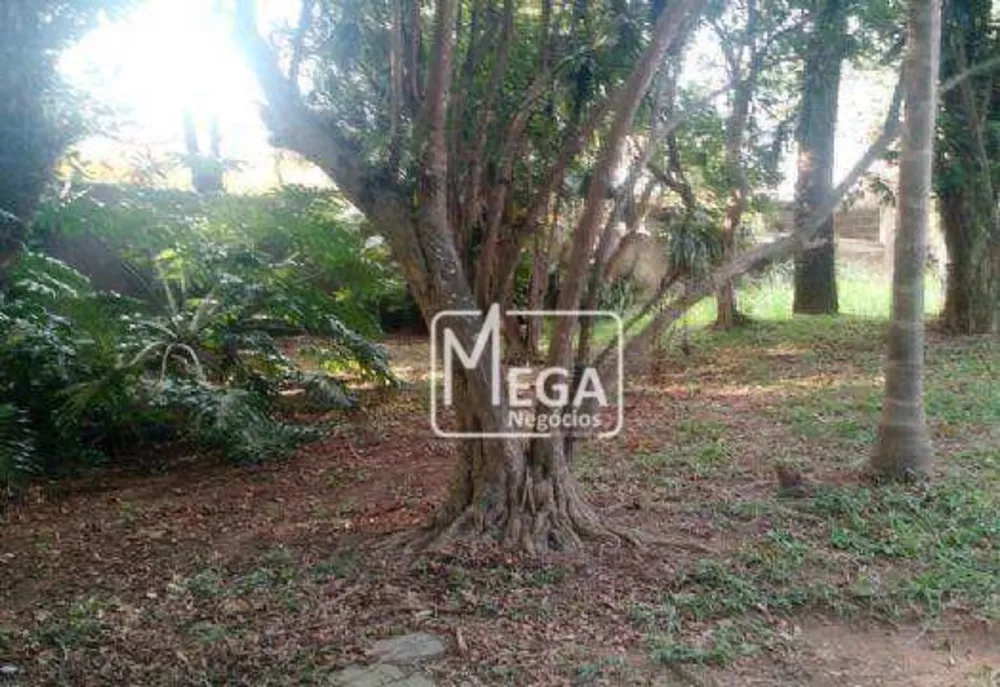 Chácara, 4 quartos, 1800 m² - Foto 9
