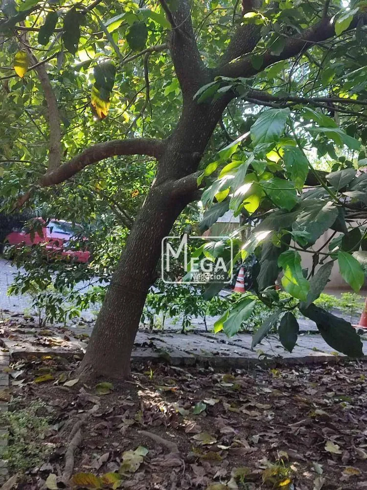 Sobrado, 5 quartos, 400 m² - Foto 18