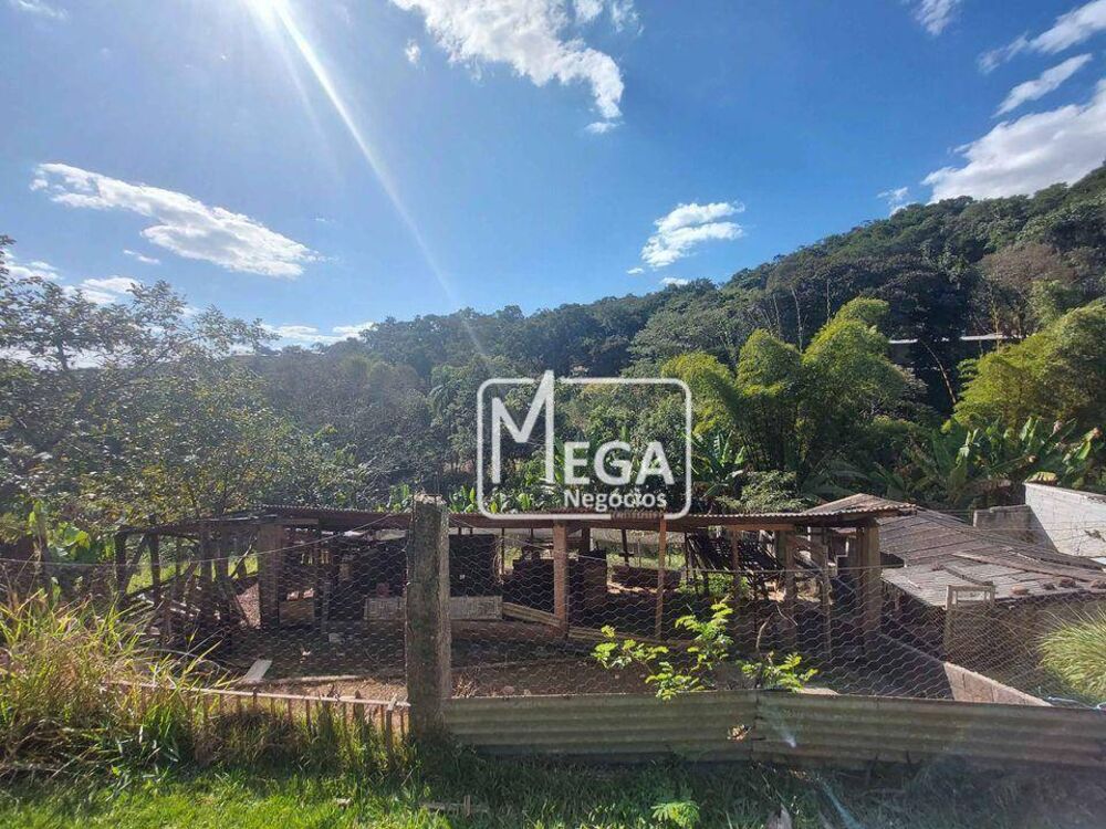 Sítio, 7 quartos, 8 hectares - Foto 6