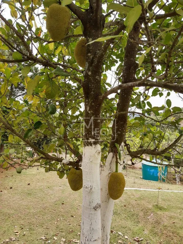 Chácara, 3 quartos - Foto 8