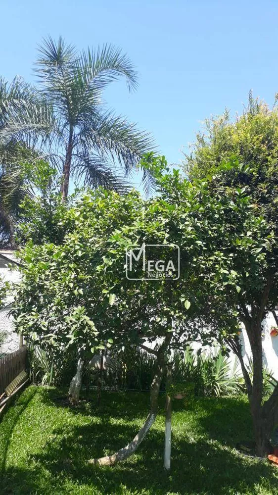 Chácara, 4 quartos, 1000 m² - Foto 12
