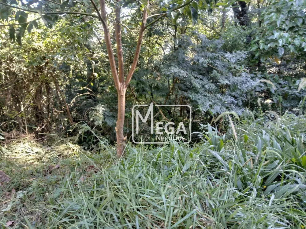 Chácara, 3 quartos, 1700 m² - Foto 24