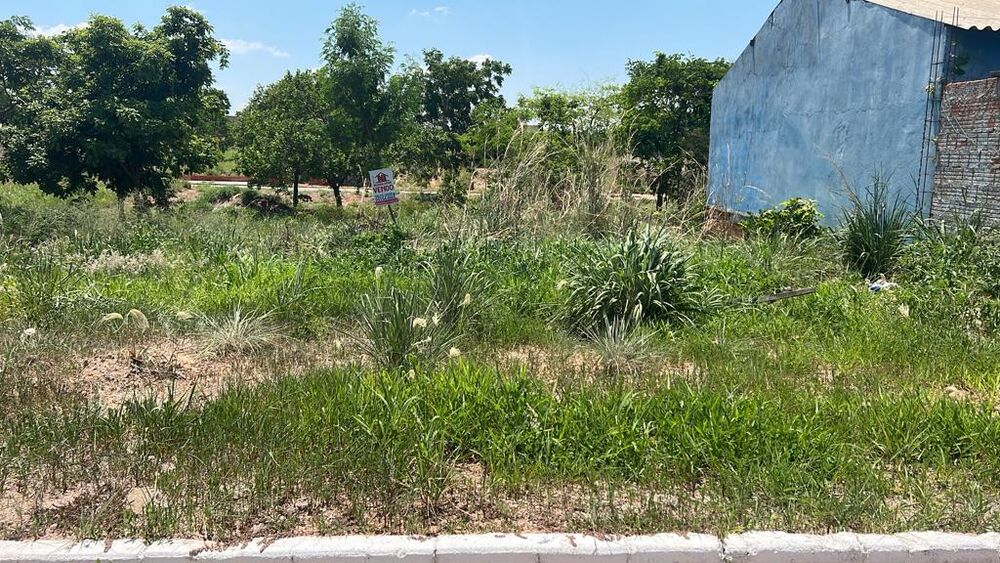Terreno, 300 m² - Foto 3
