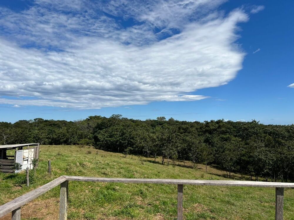 Fazenda, 4 quartos - Foto 12