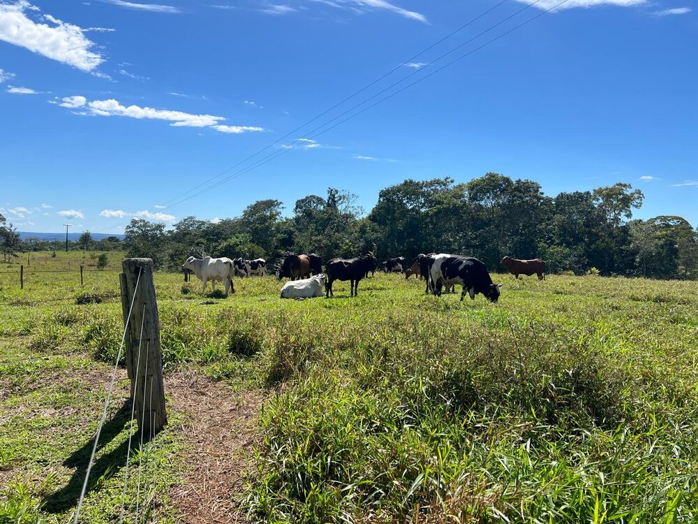 Fazenda, 4 quartos - Foto 9
