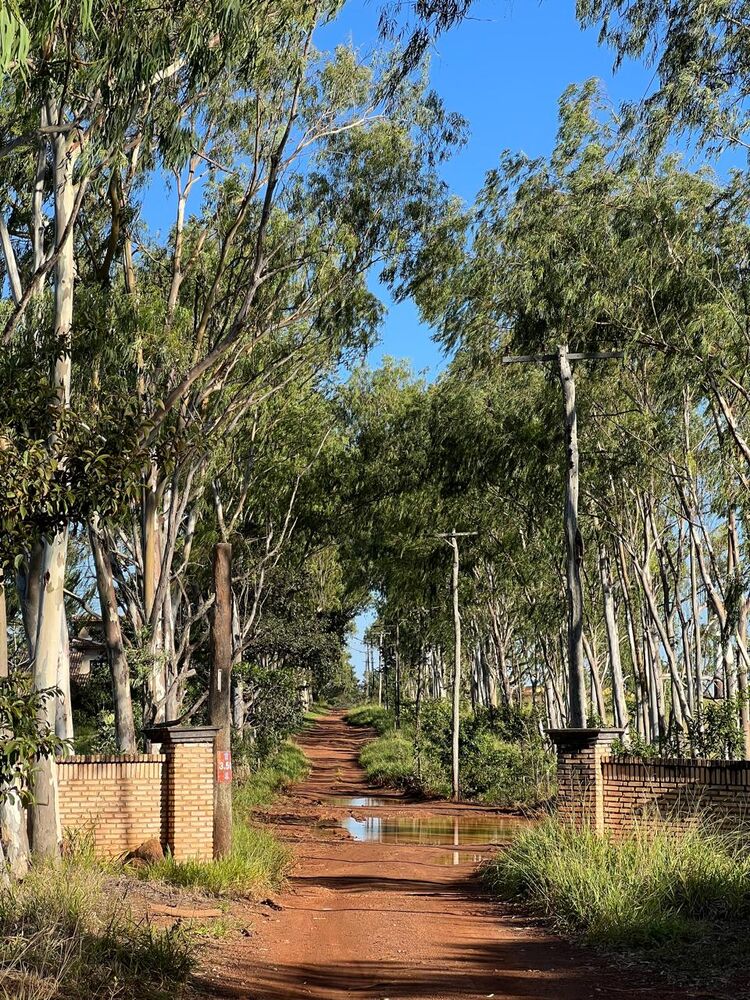 Fazenda, 4 quartos - Foto 2