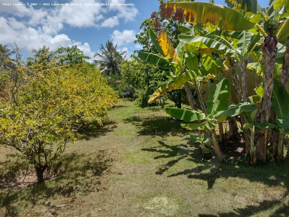Chácara, 3 quartos, 1500 m² - Foto 4