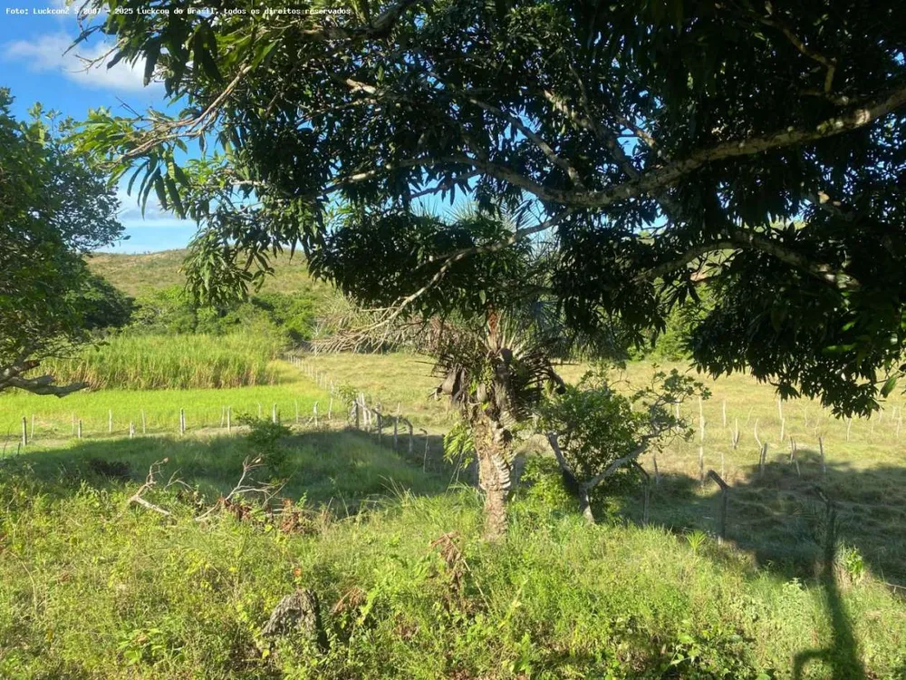 Fazenda, 22 hectares - Foto 8