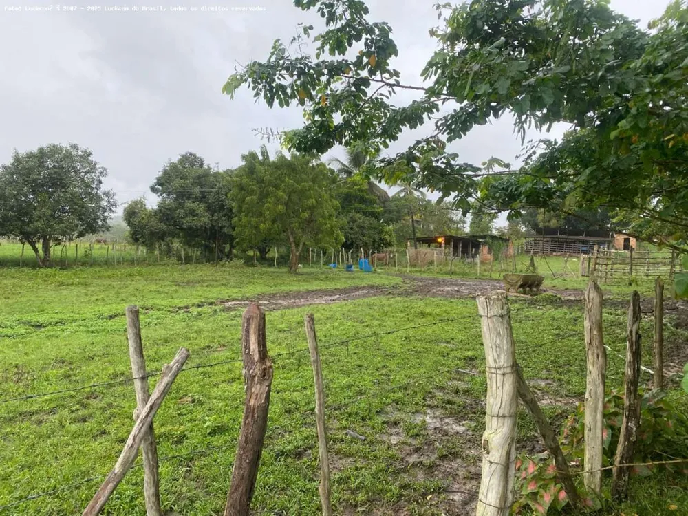 Fazenda, 22 hectares - Foto 6