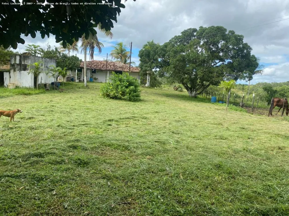 Fazenda, 22 hectares - Foto 5