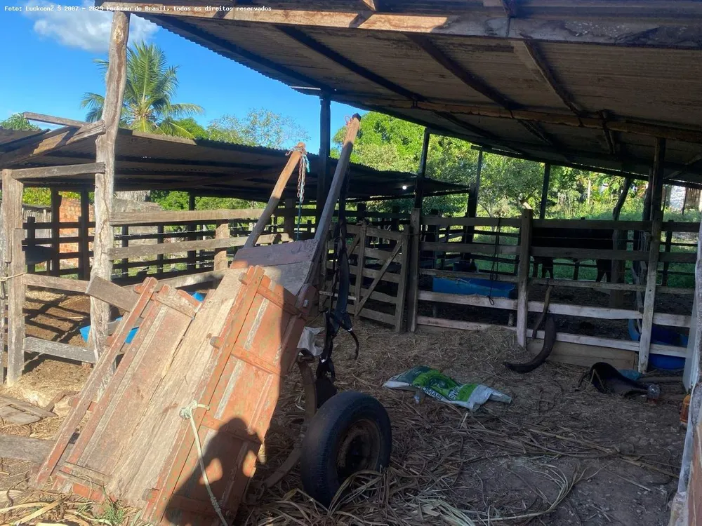 Fazenda, 22 hectares - Foto 2