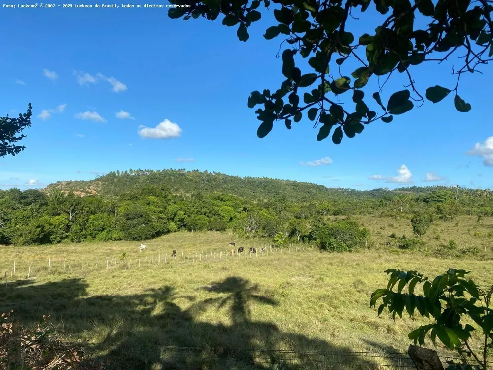 Fazenda, 22 hectares - Foto 4