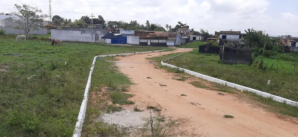 Terreno, 200 m² - Foto 4