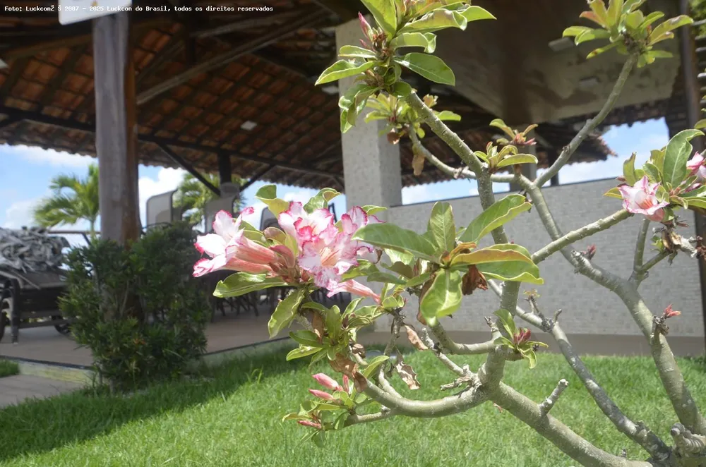 Terreno, 294 m² - Foto 15