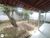 Casa, 2 quartos, 360 m² - Foto 10