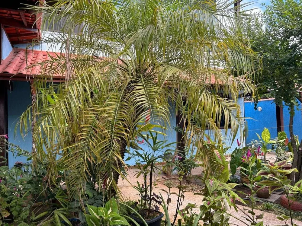 Casa, 3 quartos, 360 m² - Foto 29