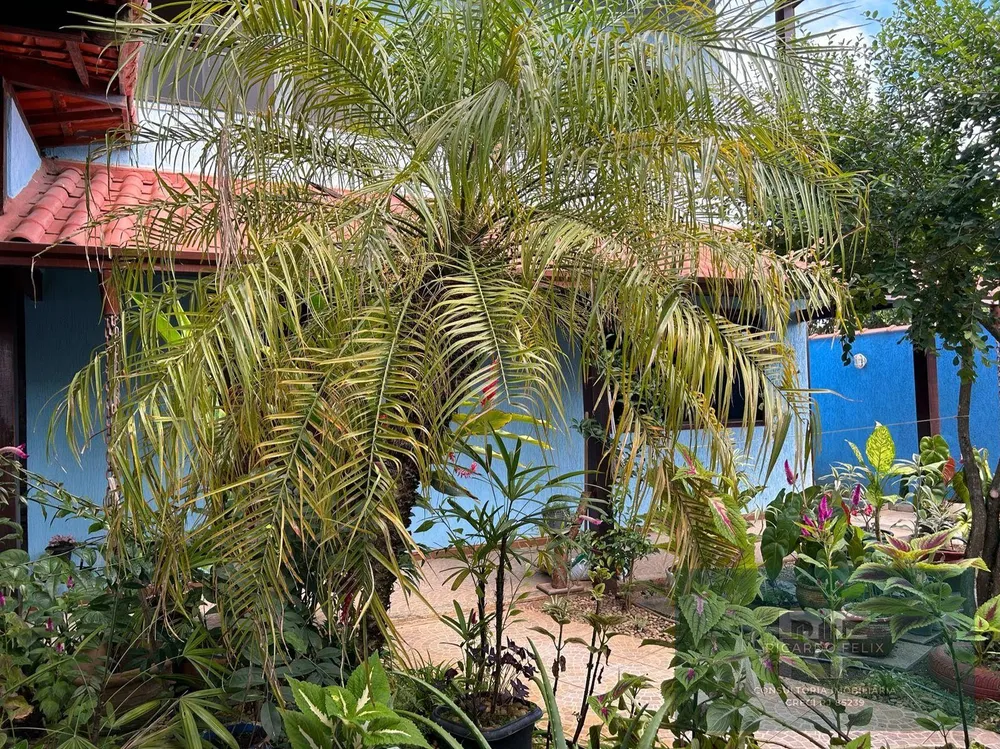 Casa, 3 quartos, 360 m² - Foto 2