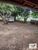 Sítio, 2 quartos, 7801 m² - Foto 3