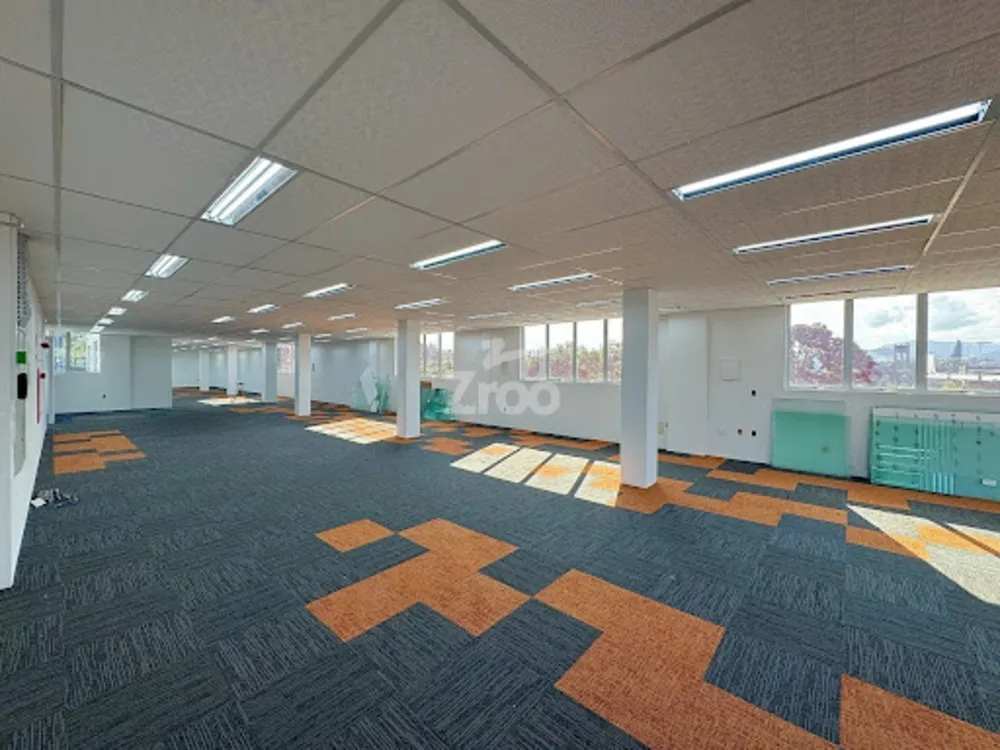 Sala-Conjunto, 446 m² - Foto 5