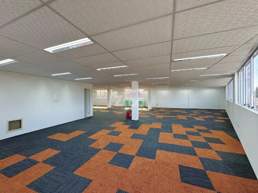 Sala-Conjunto, 446 m² - Foto 2