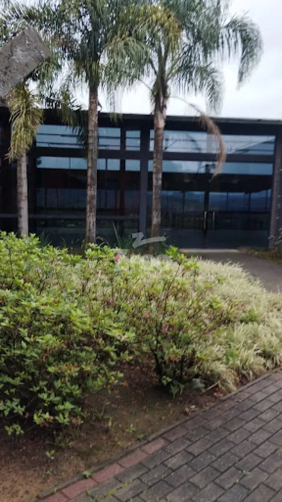 Loja-Salão, 1000 m² - Foto 6