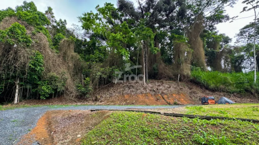 Depósito-Galpão, 300 m² - Foto 4