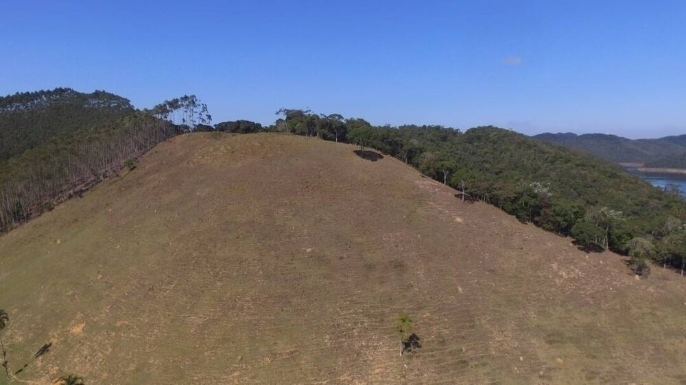 Sítio, 6 quartos, 24 hectares - Foto 1